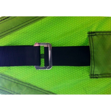 Alternate View (Forest Green)