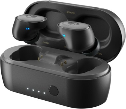 Skullcandy Sesh Evo True Wireless Earbuds 4