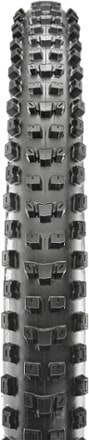 Maxxis Dissector 3C MaxxTerra DD Tire 1