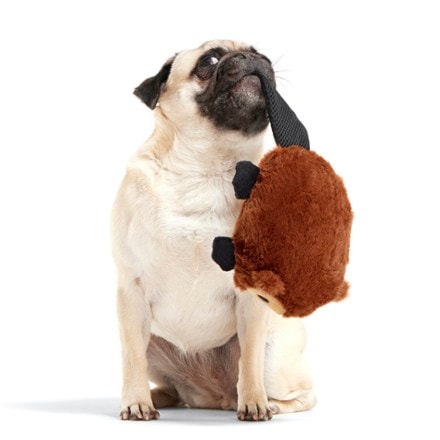 Bark National Park Plush Dog Toy 4