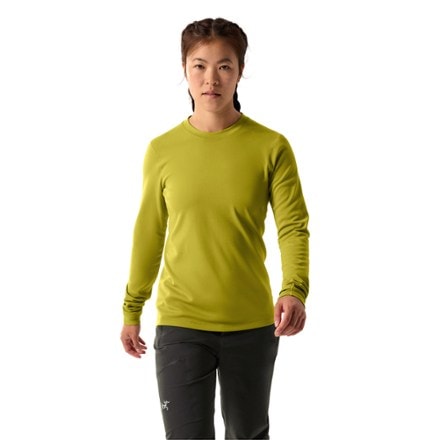 Arc'teryx Taema Thermal Crew Long-Sleeve Shirt - Women's 4