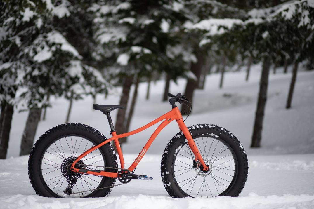 Location Image for DRT 4.1 Fat-Tire Mountain Bike