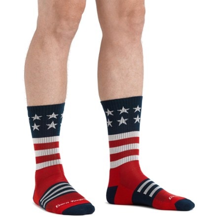 Darn Tough Captain Stripe Micro Crew Lightweight Hiking Socks - Men's 1
