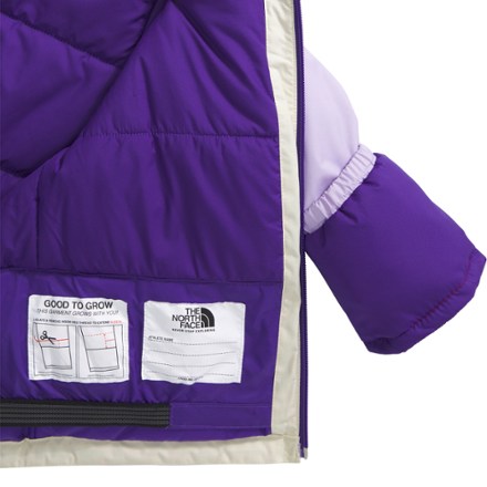 The North Face Freedom Insulated Jacket - Toddlers' 7