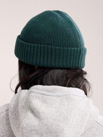 Arc'teryx Mallow Toque Hat 2