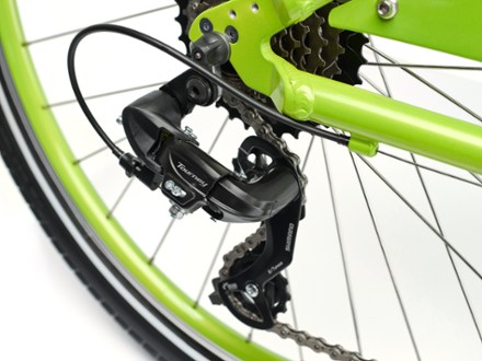 Electra Townie 7D Step-Thru Bike 3