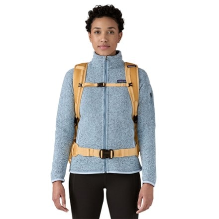Patagonia Black Hole MLC Pack 2