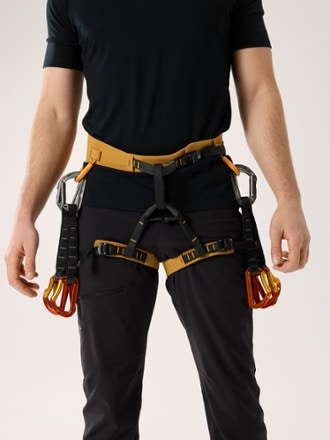Arc'teryx AR-395a Harness - Men's 1