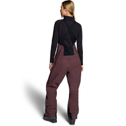 Obermeyer Steibis Shell Bib Pants - Women's 2