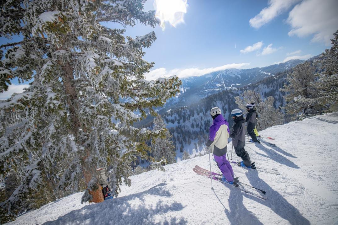 Location Image for Stance 84 W Skis - Women's - 2024/2025