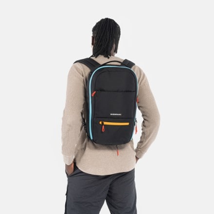 Sherpani Camden Pro Ultimate Commuter Pack 3