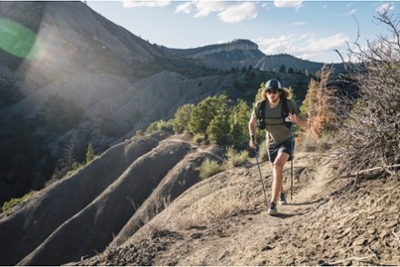 Location Image for Distance Carbon FLZ Trekking Poles - Pair