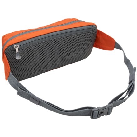 ALPS Mountaineering Stash Waist Pack 1