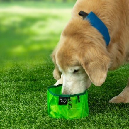 Nite Ize RadDog Collapsible Bowl 5