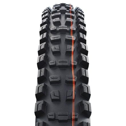 Schwalbe Romy Trail Pro Tire 1