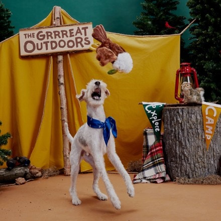 Bark Great Outdoors Plus Dog Toy 2