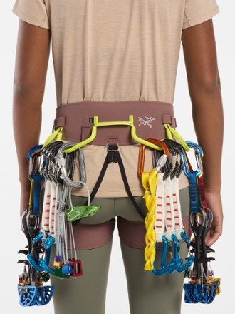 Arc'teryx AR-385a Harness - Women's 5