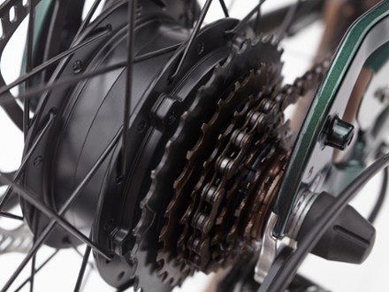 Electra Townie Go! 7D Step-Over Electric Bike 3