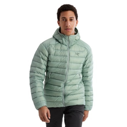 Arc'teryx Cerium Down Hoody - Men's 1