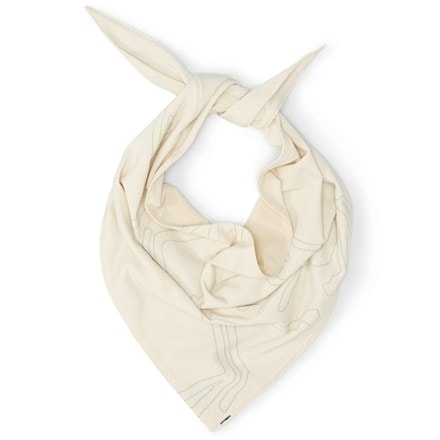 Arc'teryx Sinsolo Bandana 2