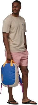 Patagonia Atom 20L Tote Pack 8