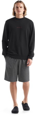 Icebreaker Shifter Shorts - Men's 6