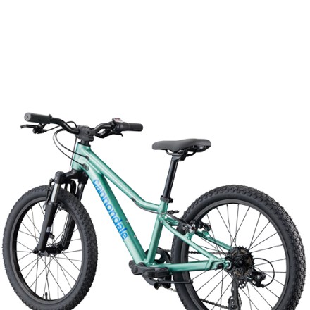 Cannondale Trail 20 Kids' Bike | REI Co-op