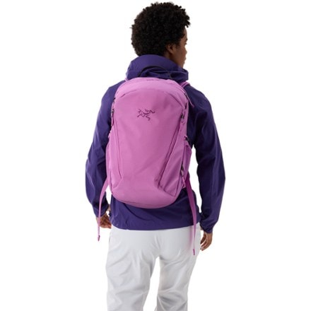 Arc'teryx Mantis 26 L Pack 1