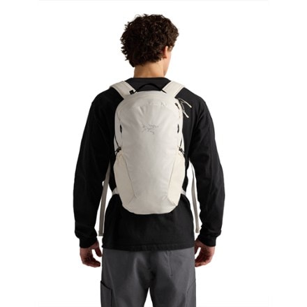Arc'teryx Mantis 16 Pack 1