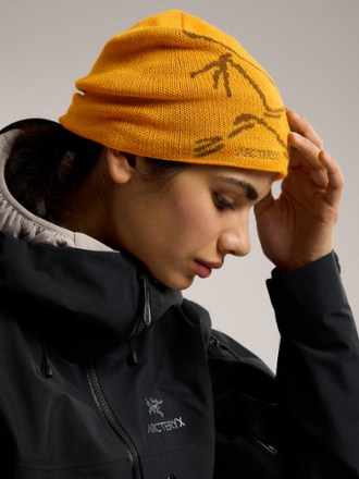 Arc'teryx Bird Head Toque Beanie 3