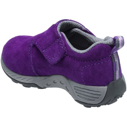 Back View (Purple/Grey)