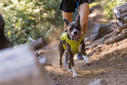 Ruffwear Trail Runner Dog Running Vest 6