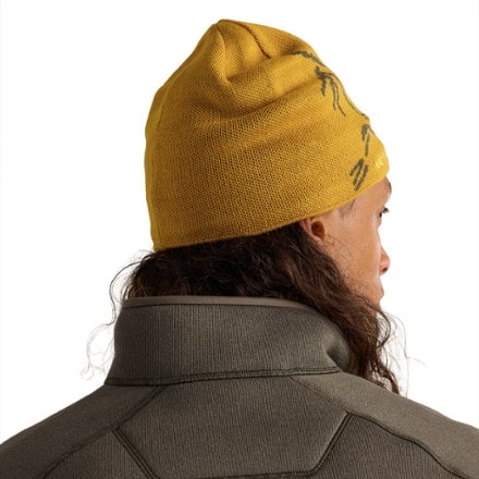 Arc'teryx Bird Head Toque Beanie 2