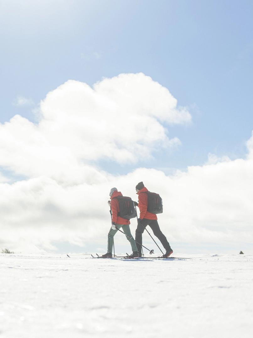 Location Image for Fjelltech M50 Skin Cross-Country Skis