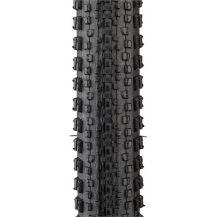 WTB Riddler TCS Tire 1
