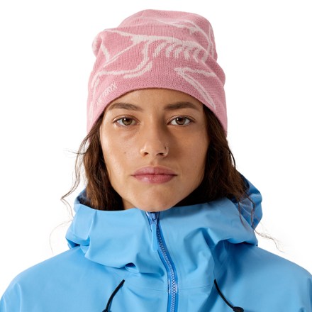 Arc'teryx Bird Head Toque Beanie 1