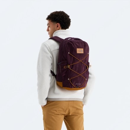 The North Face Jester Pro Pack 3