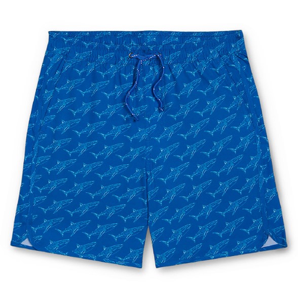 Product Image of color Cobalt Sharks