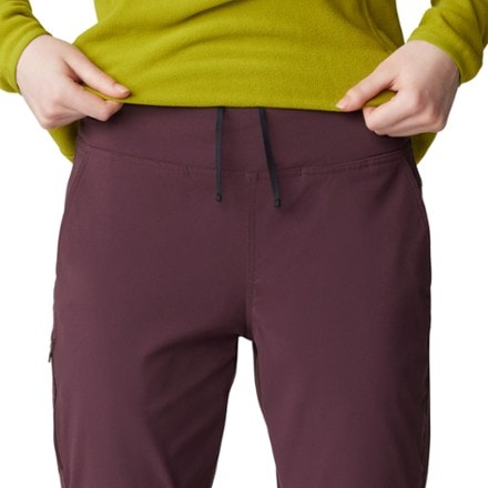 Mountain Hardwear Dynama Crop Pants - Women's 5