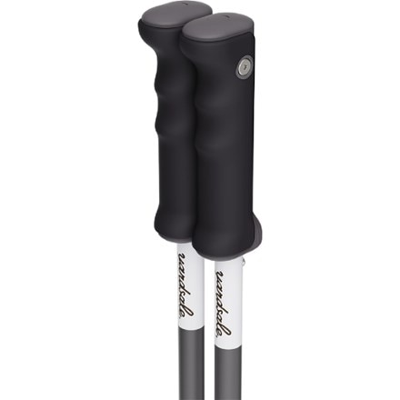 Yardsale P1 Resort Ski Poles - Pair 2