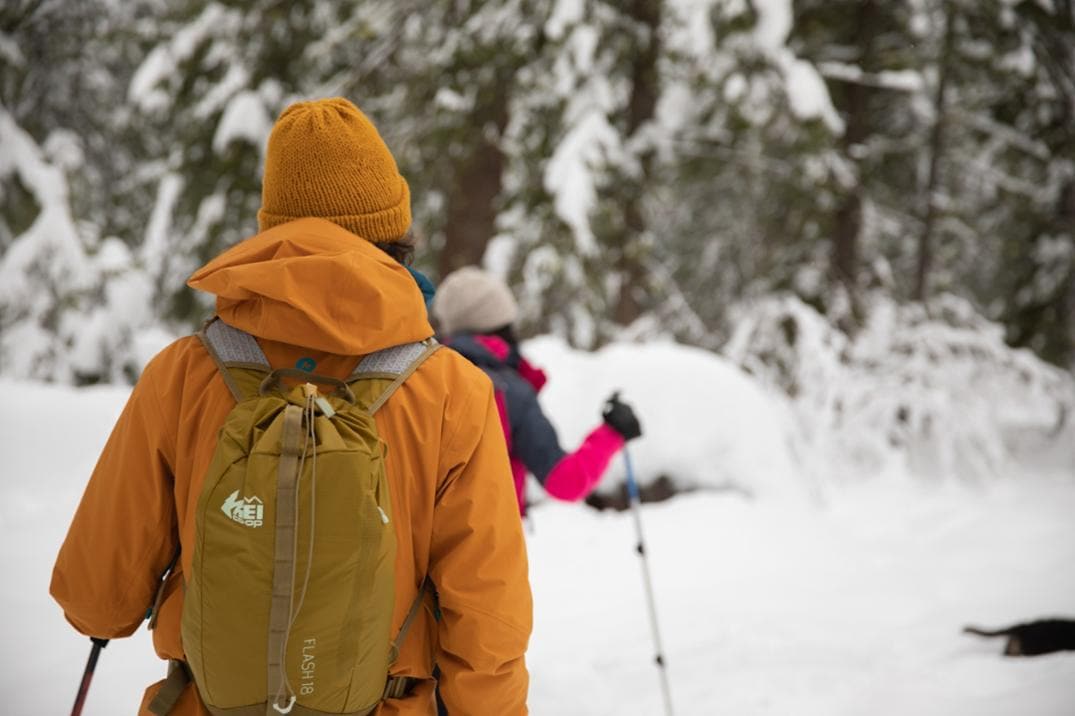 Location Image for Flash 18 Pack