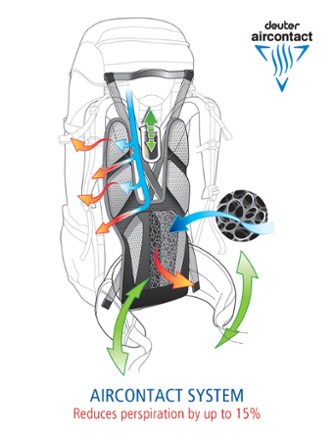 Back Graphic (Spring/Midnight)