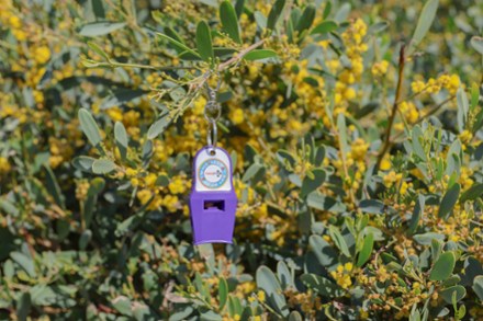 Location Image for Tri-Power Whistle