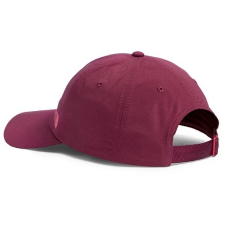 The North Face Never Stop Hat 1