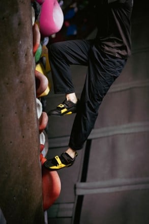 Location Image of color Yellow/Black
