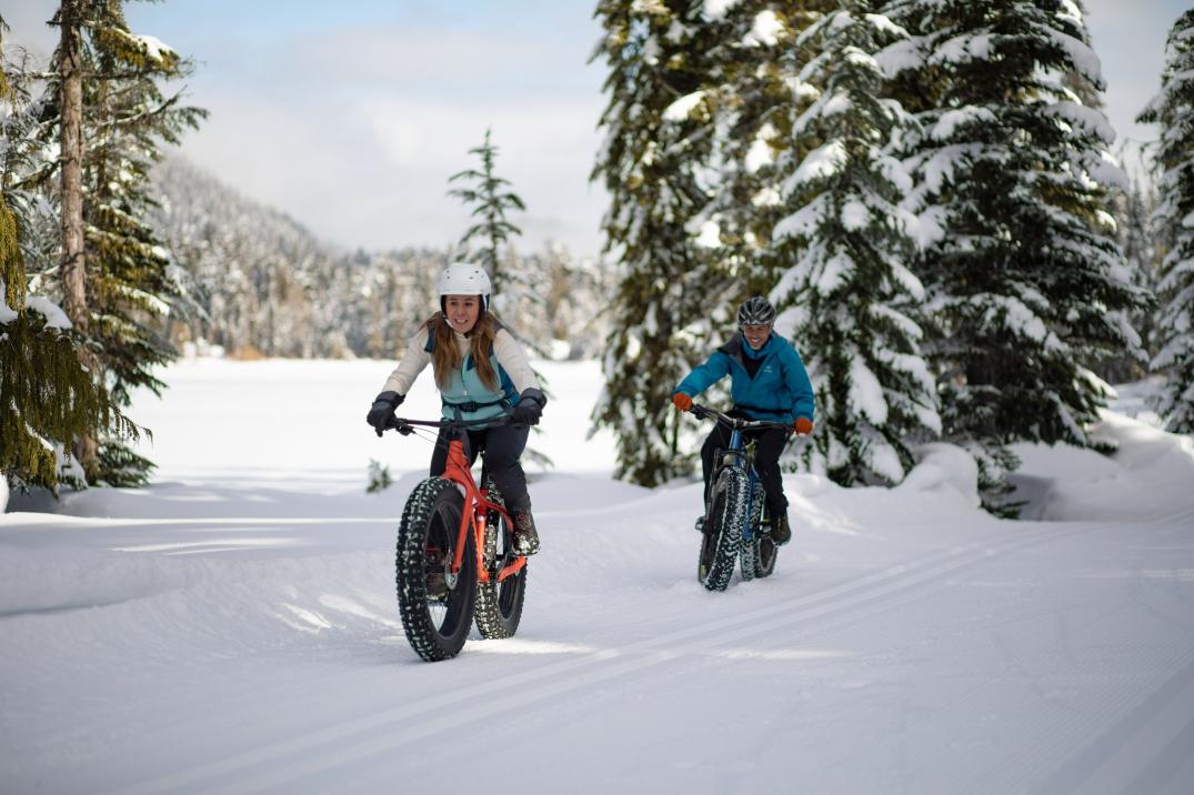 Location Image for DRT 4.1 Fat-Tire Mountain Bike