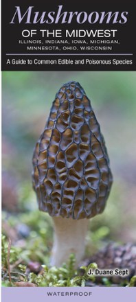 Quick Reference Publishing Mushrooms of the Midwest 0
