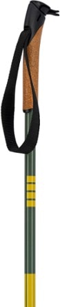 Swix Infinity Touring Cross-Country Ski Poles 1