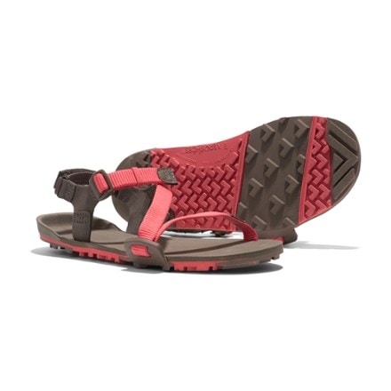 Xero Shoes Z-Trail EV Sandals - Women's 7