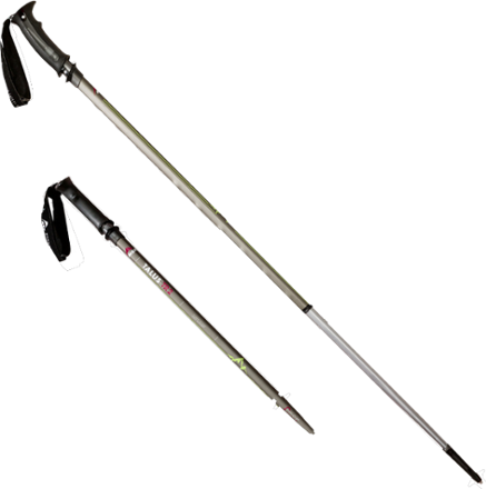 msr trekking pole